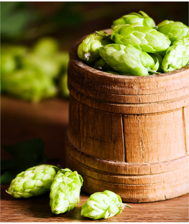 Mixing it up: Hops & Bierfrucht aseptic fruit purée