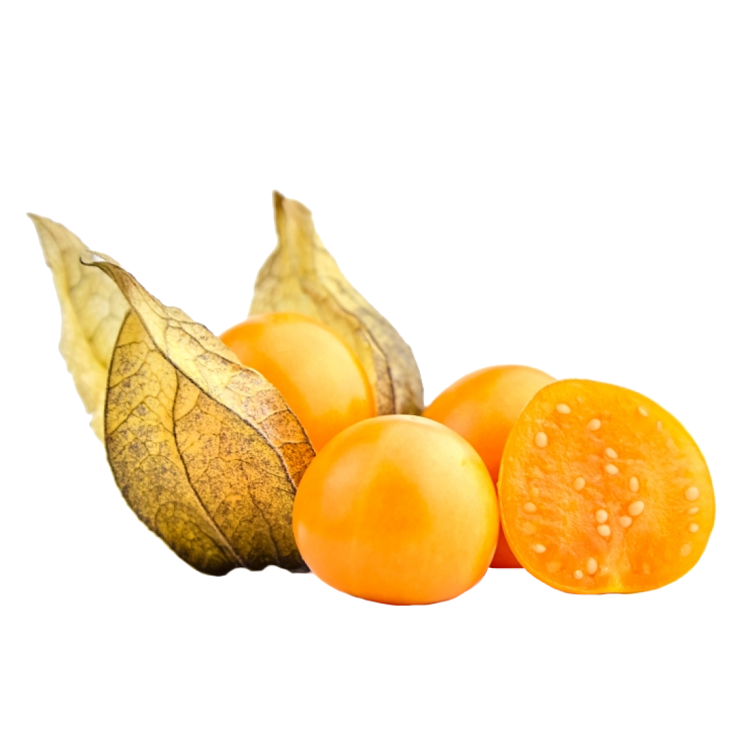 Goldenberry Aseptic Fruit Puree – Bierfrucht