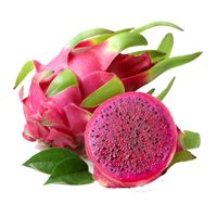 Dragon Fruit (Red)