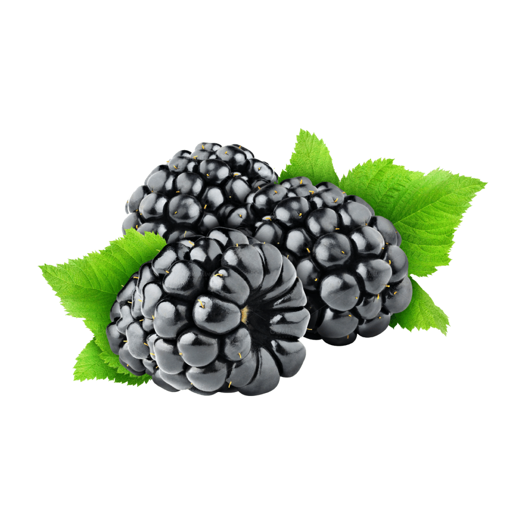 Blackberry